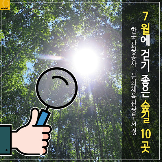 ¿©¸§¿¡ °È±â ÁÁÀº ½£±æ 10°÷